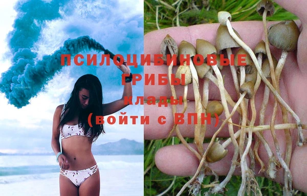 соль ск Верея