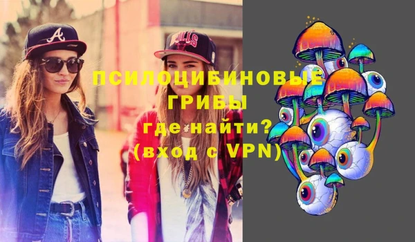 не бодяженный Верхний Тагил