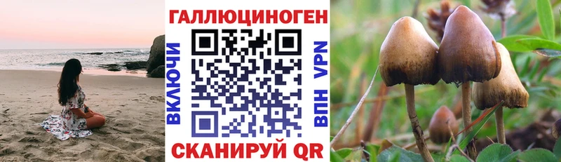 нарко площадка состав Данков Псилоцибиновые грибы мухоморы hydra ссылки